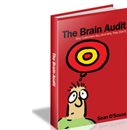 brainaudit_book1