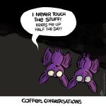 bats, coffee, Sean D'Souza