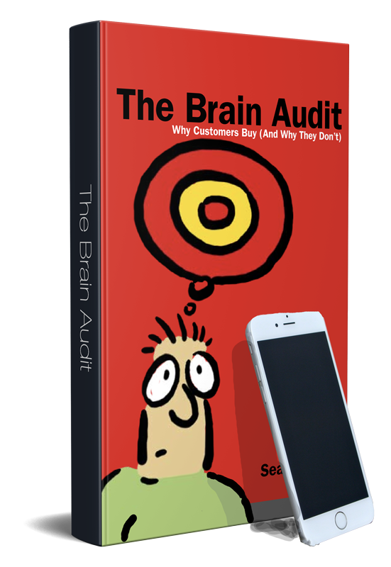 The Brain Audit: Business System for Small Business