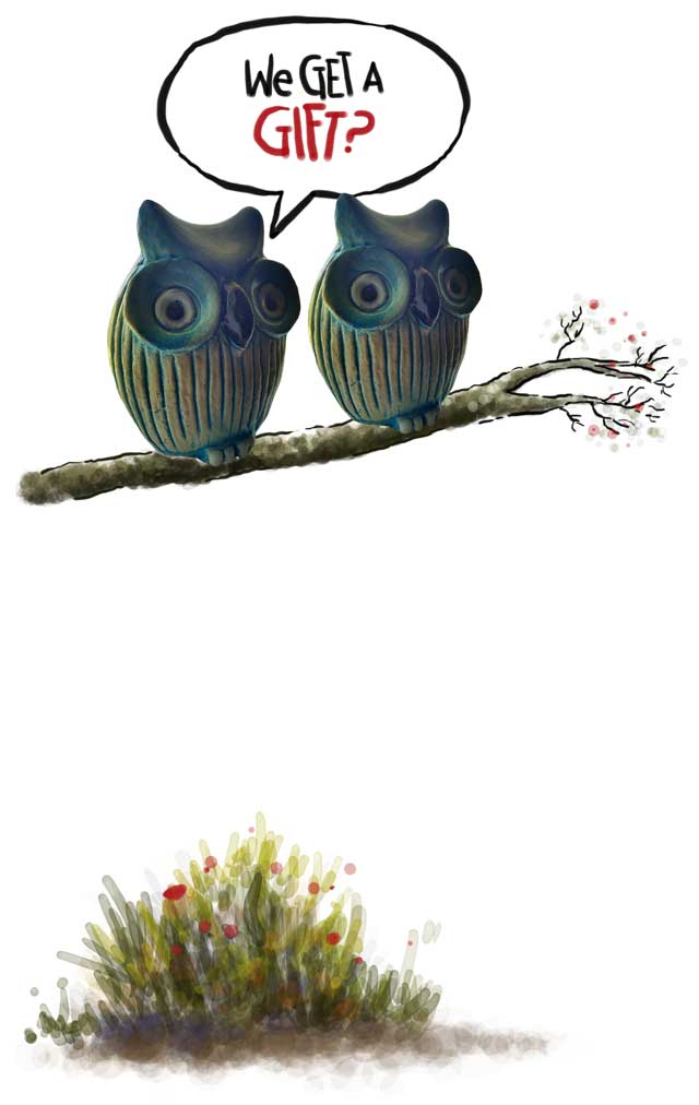 Owls on a branch