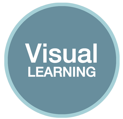 brainauditapplications-visual Brain Audit Applications