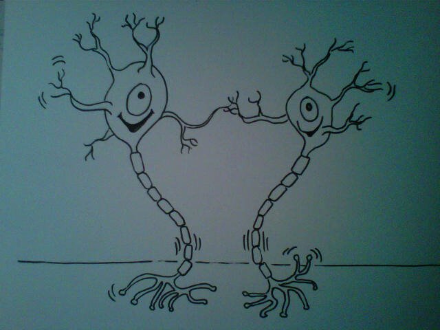 debra5 cartooning