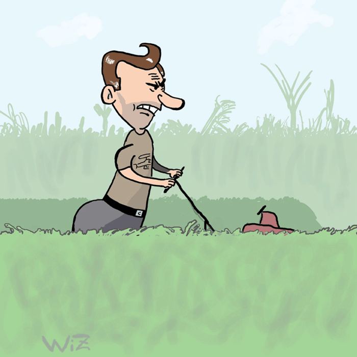 wiz-grass
