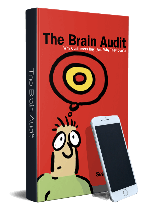 The Brain Audit: Business System for Small Business