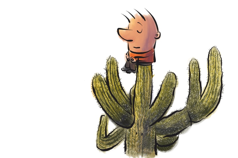 Pildiotsingu cactus pain cartoon tulemus