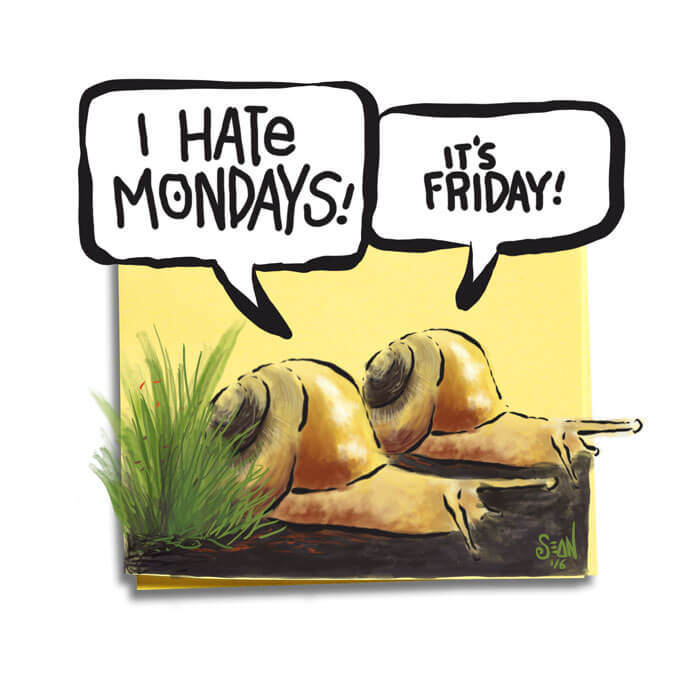 Friday Cartoon: Monday Vs Friday: Square Toon: Psychotactics