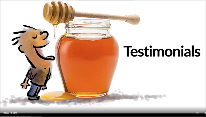 6 Testimonial Questions Brain Audit 6 Testimonial Questions